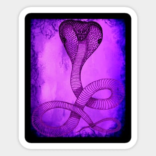 Purple Fire Cobra Cool Design Sticker